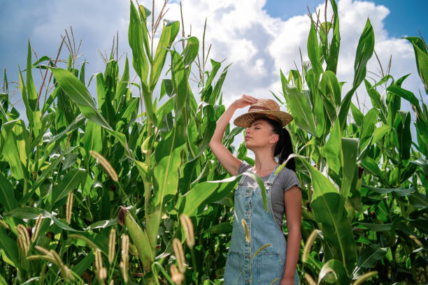 istock Woman putting straw hat on her head 1271960635