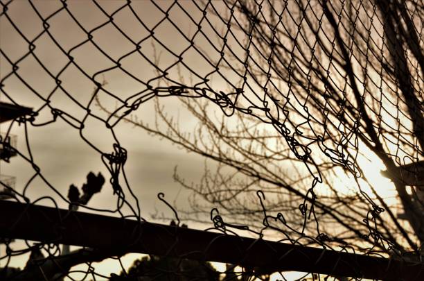 istock Fence football court 1271960788