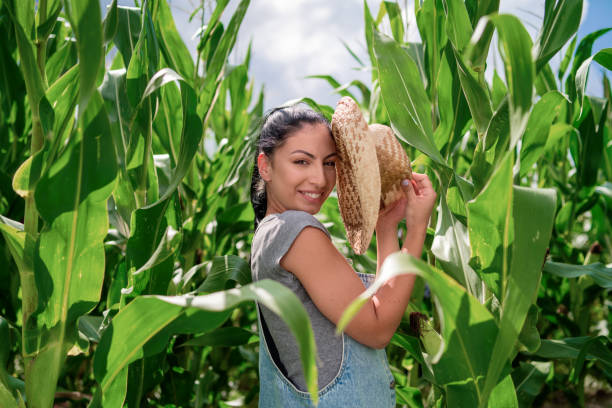 istock Young woman hiding among the corn seedlings 1271961270
