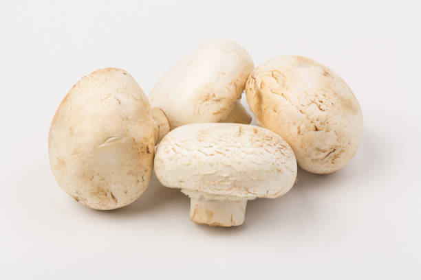 istock Fresh Champignon mushroom, isolated on white background. Close-up 1271961313