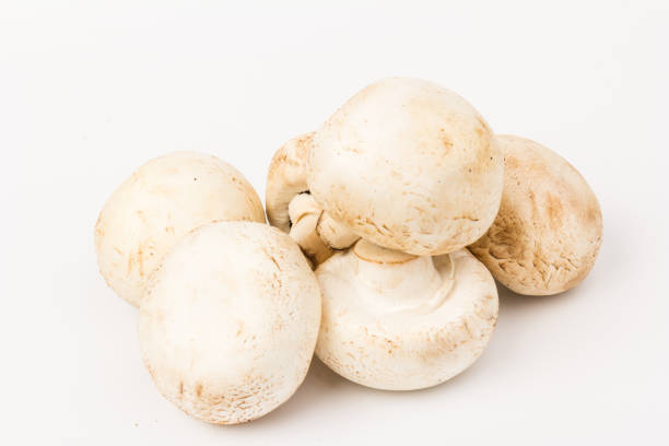 istock Fresh Champignon mushroom, isolated on white background. Close-up 1271961445
