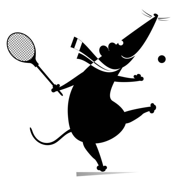 Funny rat or mouse plays tennis illustration. Cartoon rat or mouse plays tennis black on white opossum silhouette stock illustrations