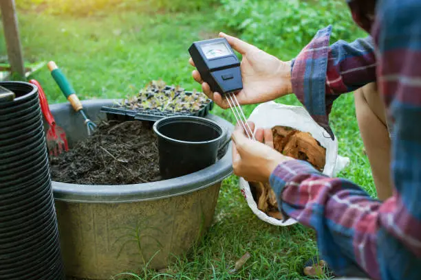 Photo of To measure soil pH, gardeners are using a monitor to measure pH balance, acidity, and alkalinity, use of modern agricultural tools. To prepare the soil to mix in vegetable gardening