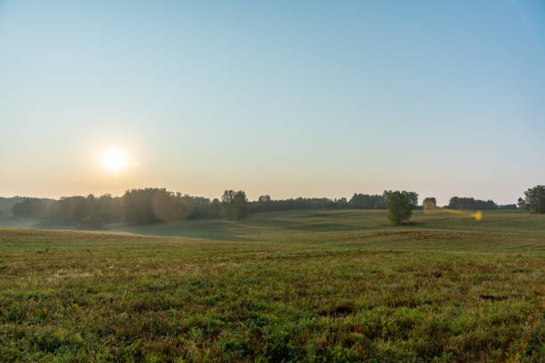 istock Morning light on the green summer field. Summer landscape. 1271965704