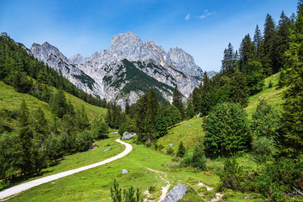 istock View to the mountain pasture Bindalm in the Berchtesgaden Alps, Germany 1271966443