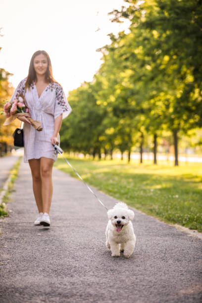 istock Happy dog, happy owner 1271969563