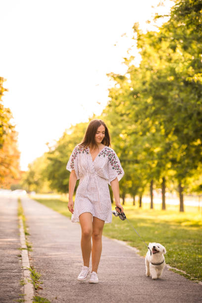 istock Female owner of a bichon frise 1271969572