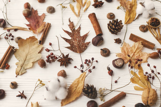 istock Autumnal pattern with natural forest details. Autumn leaves, berries, acorns, walnuts, cinnamon,anise , cotton and pine cones on white background. Hello fall 1271973084