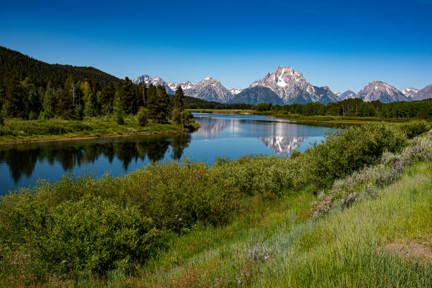 Grand Teton National Park Grand Teton National Park snake river valley grand teton national park stock pictures, royalty-free photos & images