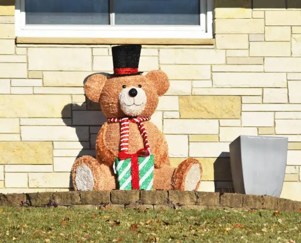 Photo of Christmas Bear