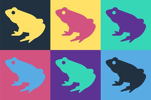 Pop art Frog icon isolated on color background. Animal symbol. Vector.