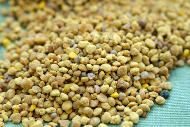 istock Bee pollen. A valuable and useful beekeeping product and a natural antiseptic. Closeup. 1271983609