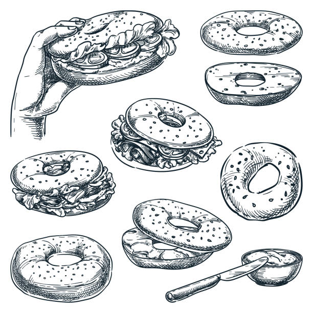 Bagel bread and sandwiches set. Fast food snacks vector sketch illustration. Cafe lunch menu hand drawn design elements Bagel bread and sandwiches set, isolated on white background. Fast food snacks vector sketch illustration. Bun with salmon, cheese, ham and tomato. Cafe lunch menu hand drawn vintage design elements bread clipart stock illustrations