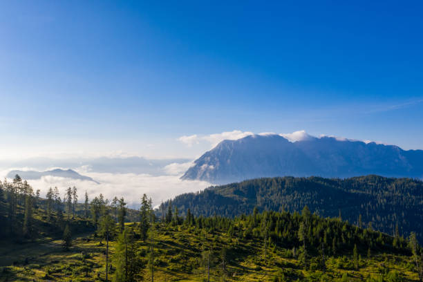 istock Grimming mountain peak in the Austrian Alps during summer 1271988099