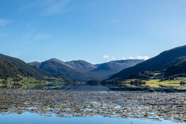 istock Norway mountain lake mirror on sunny day landscape 1271992333
