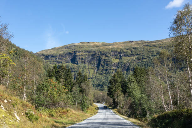 istock Drive Norway route. Summer green blight sunny day 1271992381