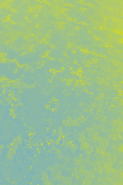 istock Gray and yellow gradient color. Concrete or beton pattern, patchy background. Blurred background 1271992424