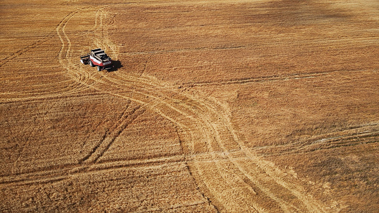 Harvesting season. Aerial shot directly above. Harvester in a field of wheat at work