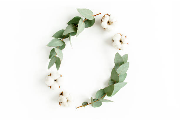 istock Wreath frame made of branches eucalyptus, leaves and cotton isolated on white background. flat lay, top view 1271999501