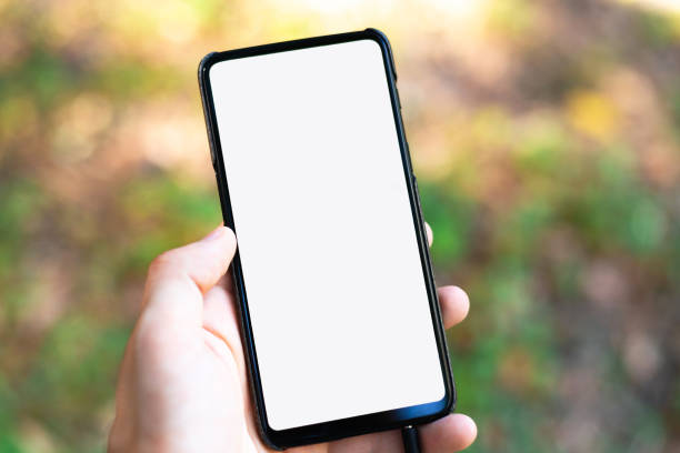 istock hand holding and using a mobile phone with white blank screen against bokeh of nature background. mock-up. Copy space. selective focus. 1271999724