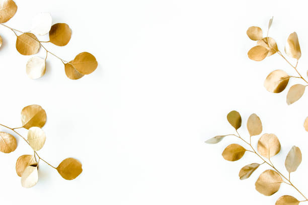 istock Borders of the frame of gold branches, eucalyptus leaves on a white background. flat layout, top view 1272002651
