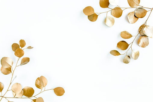 Borders of the frame of gold branches, eucalyptus leaves on a white background. flat layout, top view. High quality photo
