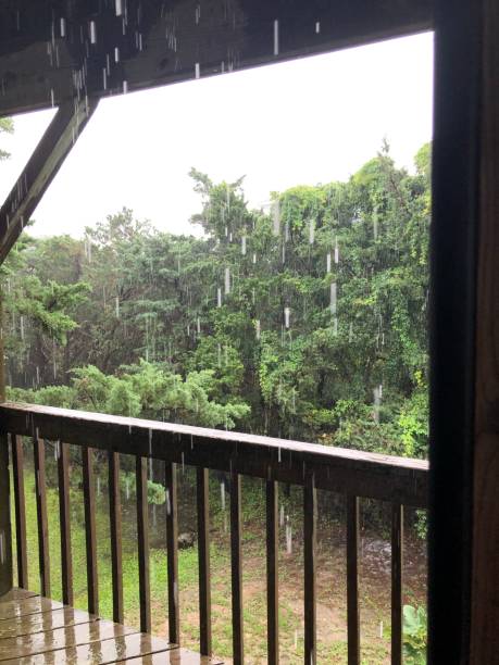 istock View of Rain Pouring on Beach Deck 1272003507