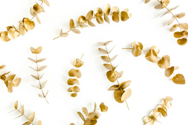istock Pattern made of gold branches, eucalyptus leaves on a white background. flat layout, top view 1272003716