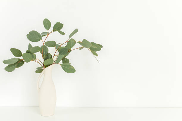 istock Branches of eucalyptus populus in vase on table on light background. Home decor. Blog, website or social media concept 1272004246