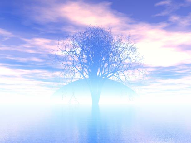 Fantastic landscape of Lake and Tree