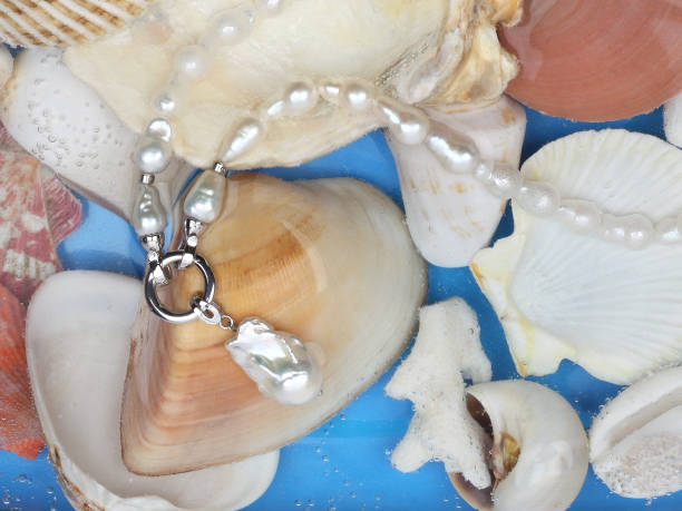 istock Baroque pearl necklace with pendant on marine shell background 1272009532