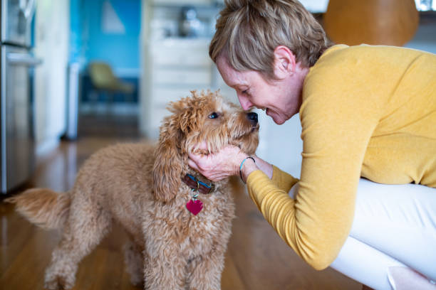 istock Woman Petting Her Puppy 1272014938