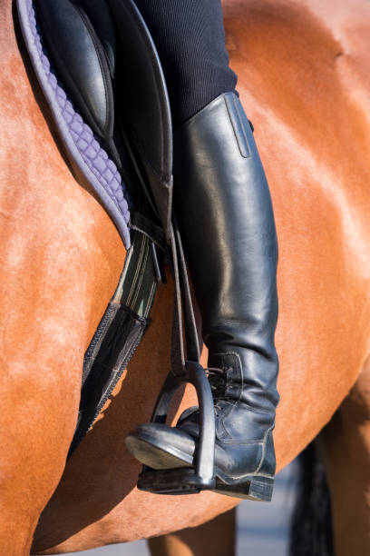 istock A rider's foot on a bay horse close up. 1272016123