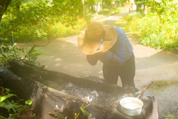 An elderly Japanese farmer washing his face in a wood log troth
