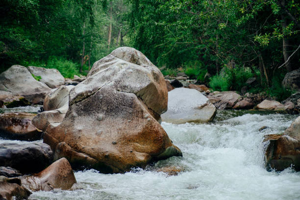 자연 - spring stream landscape boulder 뉴스 사진 이미지