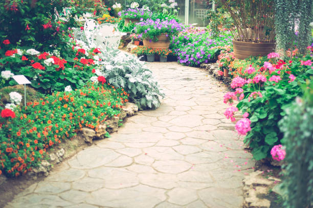 istock walkway pathway in flower garden park 1272017405