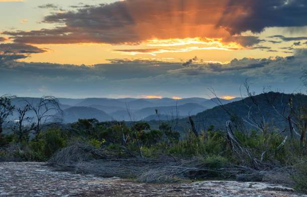 istock Australian Bush Sunset with Tessellated Rock 1272017589