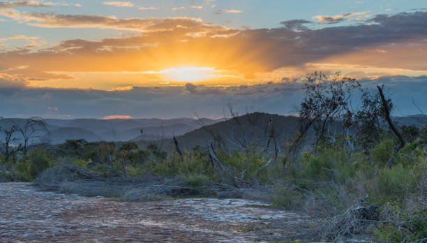istock Australian Bush Sunset with Tessellated Rock 1272017600