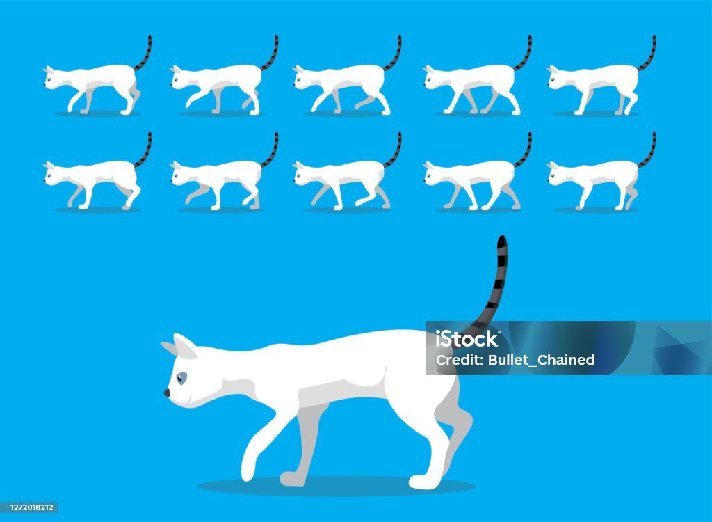 Animal Animation Sequence Cat Colorpoint Shorthair Cartoon Vector Stock  Illustration - Download Image Now - iStock