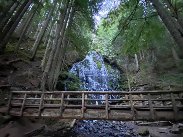 wasserfall - mt hood national park stock-fotos und bilder