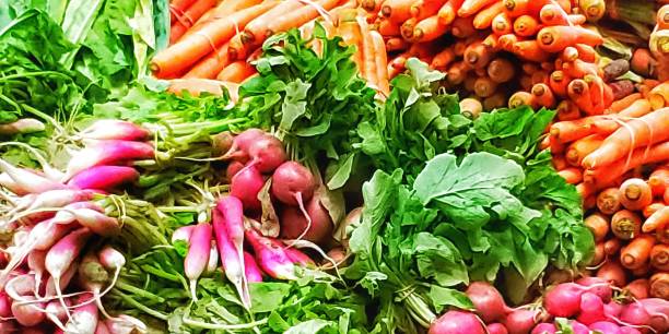 Multicolored Radishes, Beets, and Carrots