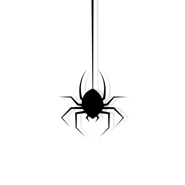 Vector illustration of Spider hanging on cobweb. Halloween character. Vector illustration