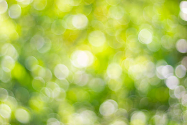 istock Natural light green blured background of bokeh 1272033820