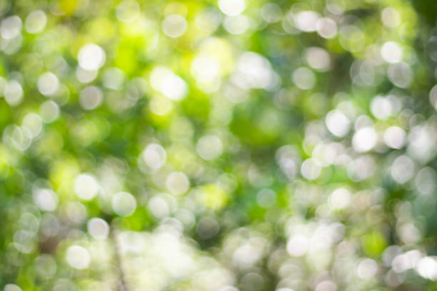 istock Abstract blurred background of bokeh light 1272035095