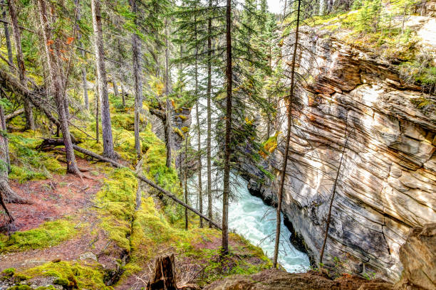 istock Athabasca Falls in the Canadian Rocky Mountains 1272036995