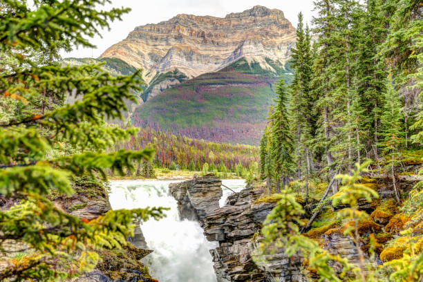 istock Athabasca Falls in the Canadian Rocky Mountains 1272037002