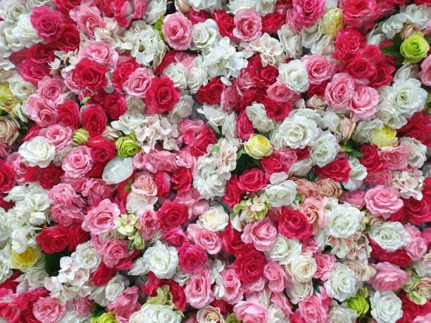 istock Multi-colored rose flower background photo zone 1272041996