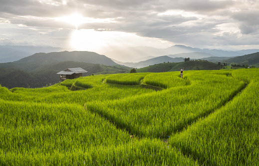 Landscape of rice terraces at Pa Pong Piang, Chiangmai