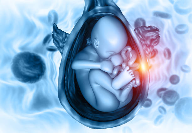 istock fetus in womb Anatomy. science background 1272057453