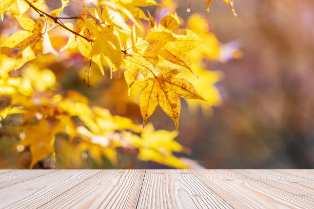 istock Empty wood table mockup on yellow maple leaves background in the garden with copy space for text, Mock up for your product display and montage in autumn season, thanksgiving and Halloween holiday 1272057650